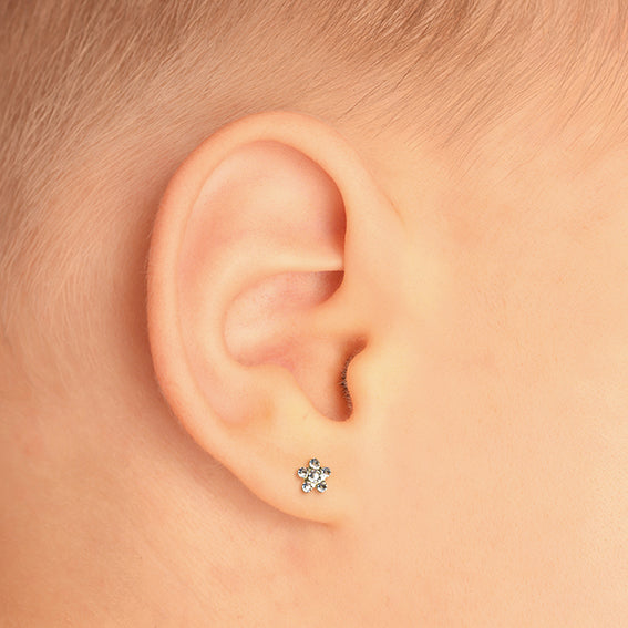 Studex System75 ականջօղեր/7531-6004/ 6 զույգ